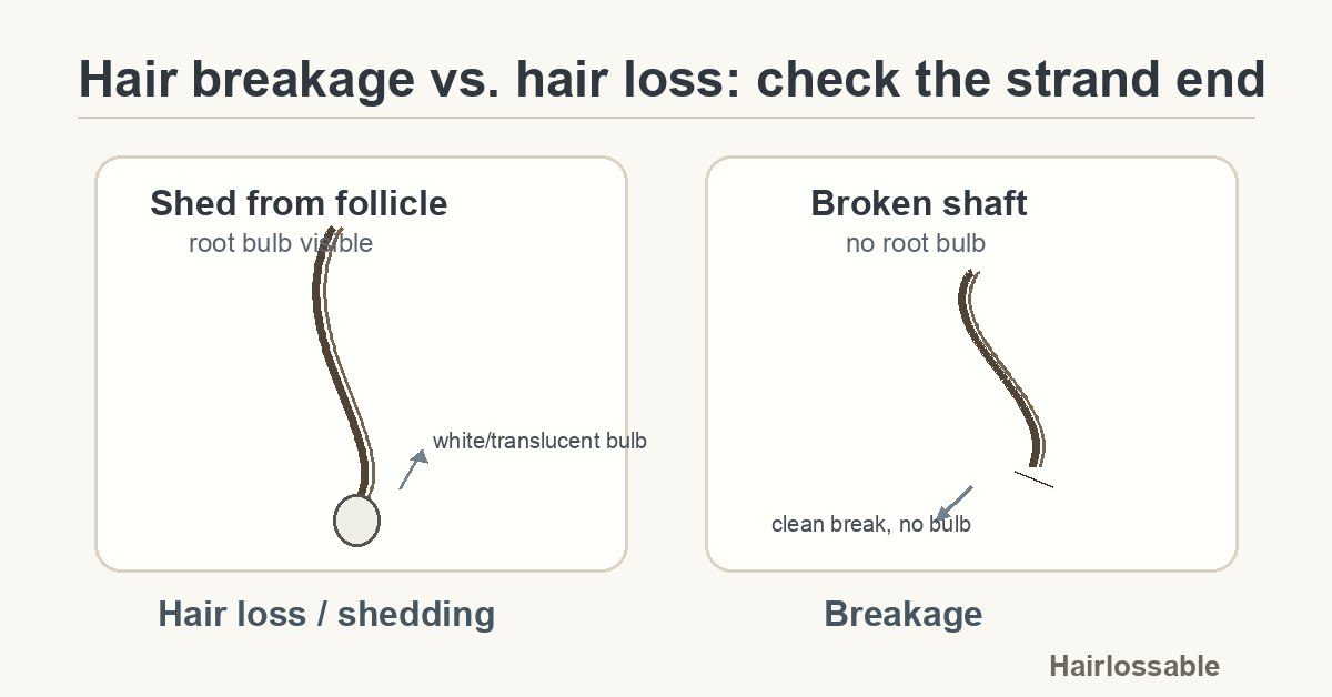 Hair Breakage vs. Hair Loss: How to Tell the Difference