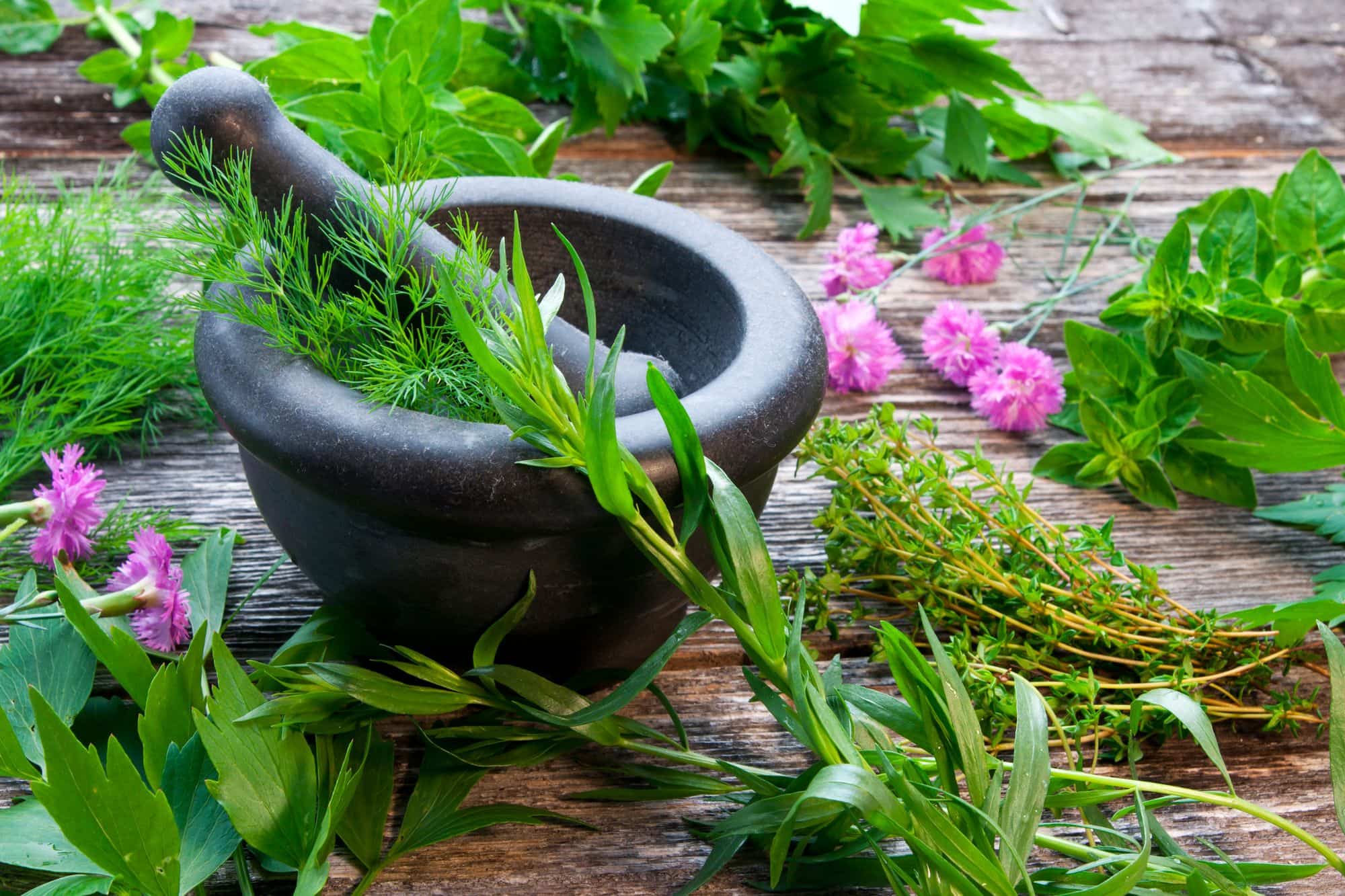 Which are the Best Herbs to Fight Against Hair Loss?
